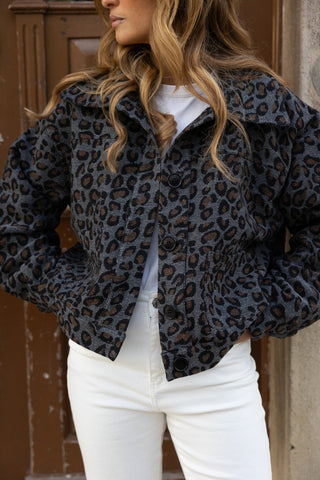 BOMBER LEOPARDO